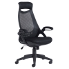 Tuscan Black Mesh Office Chair