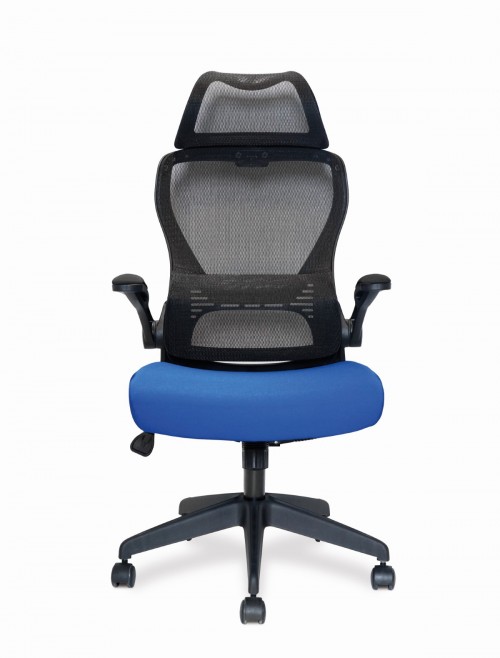 Mesh Office Chair Blue Canis Computer Chair BCM/K540/BK-BL by Eliza Tinsley Nautilus - enlarged view