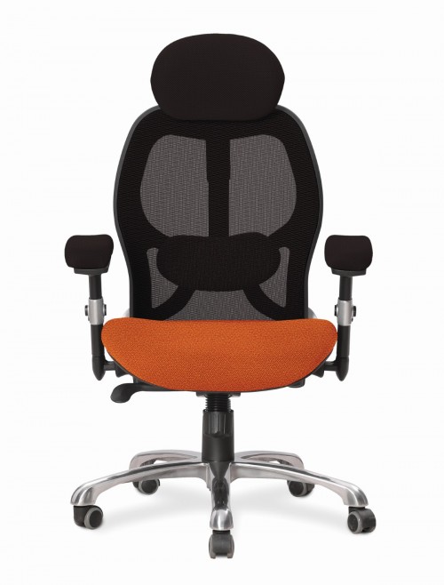 Ergo 24 Hour Chair Luxury Executive Mesh Office Chair Olympic ERGO/YP113/BK - enlarged view