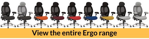 View the entire Ergo Office Chair range