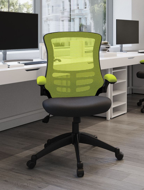 Mesh Office Chair Green/Black Luna Computer Chair BCM/T1302/GN by Eliza Tinsley Nautilus