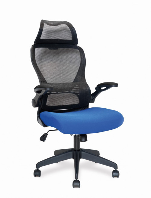 Mesh Office Chair Blue Canis Computer Chair BCM/K540/BK-BL by Eliza Tinsley Nautilus - enlarged view