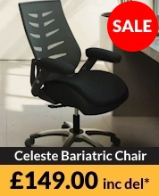 Celeste Bariatric Chair